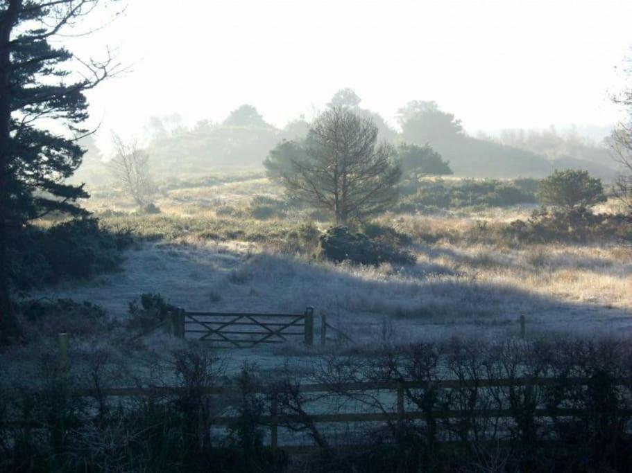 Home In Dorset, Near Jurassic Coast And Arne Wareham Exterior foto